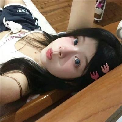 棉尾兔